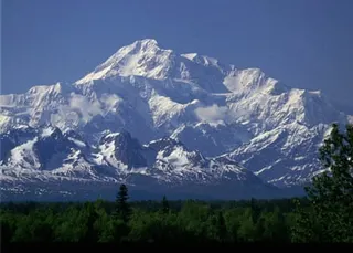 An enormous, snow-covered mountain rises above a forest.