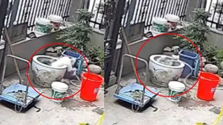 母亲刚进屋 19个月男童一头栽进水缸