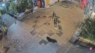 根据市中心的宇都宫Orion商店街的监控，上星期天（7日）凌晨2时20分左右拍到一头熊奔跑过道路的画面。 （路透社）