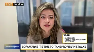 AI Earnings Durability Is in Focus for BlackRock’s Wei Li