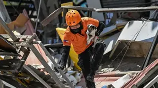 Rescue worker walks over rubble of collapsed building while holding a dog after a powerful earthquake in southern Philippines