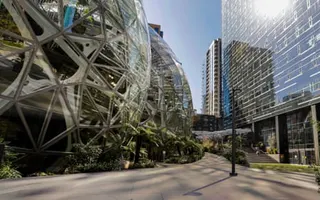 Glass geodesic domes with steel frames sit among greenery on the Amazon campus in Seattle