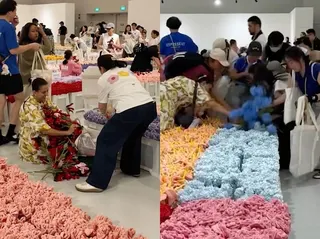 'Why are people being so greedy?': CJ Hendry’s viral Flower Market sparks debate over plush flower frenzy