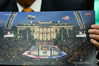 An AI-generated image of how the UFC octagon will look with a crowd in front of the White House