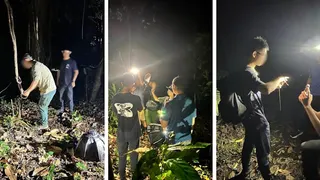 涉万礼小径摆弄野生蛇 多人被查包括公园局职员
