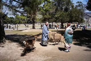 Tourists in Nara Park in March