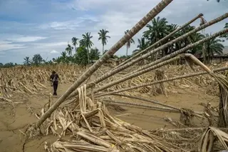Getty Images A man walks through the debris of a forest that has been flooded, with trees flattened and bent over in the mud
