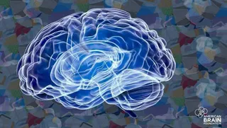 研究顯示，良好的睡眠習慣與大腦損傷息息相關。（American Brain Fu...