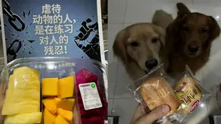 小錢（化名）表示自己也有養狗，在6月8日晚上到達現場聲援。