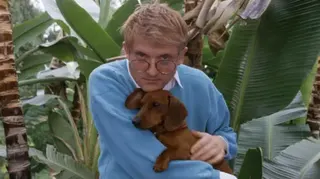 Getty Images Hockney pictured with one of his beloved dachshunds in 1988