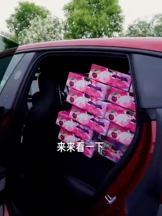 雷軍在車的後座也擺滿了車厘子。（視頻截圖）