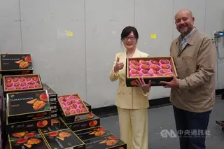 台灣愛文芒果首次進入法國市場，駐法代表郝培芝（左）拜訪法國進口商Sun 7 Fruits，負責人夏蒂耶（右）盛讚台灣水果品質「真的是頂級」。中央社記者曾依璇巴黎攝　115年6月13日