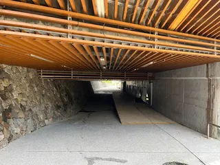台中一名男子倒臥橋下。（圖／東森新聞）