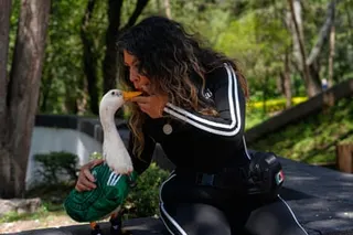Carla Gomez blows on her duck Merlin, dressed in a Mexico national soccer team jersey, during the World Cup.