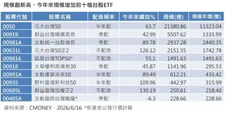 規模創新高、今年來規模增加前十檔台股ETF。