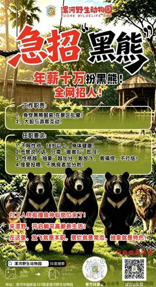 漯河野生動物園徵人扮演黑熊的海報。(取材自微信)