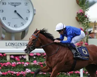William Buick rides Ombudsman to victory in the Prince Of Wales's Stakes at Royal Ascot.
