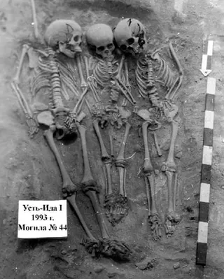 Three skeletons beside one another in a grave