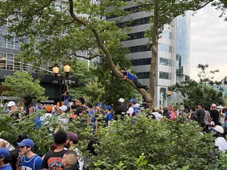 有尼克隊球迷爬到樹上。(記者劉梓祁╱攝影)