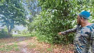 姐弟晨跑走散 15岁少女遭性侵抢劫