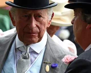 King Charles III in a light grey suit and top hat with a purple cornflower buttonhole talks to someone