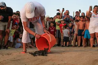 AFP via Getty Images Mona Khalil releases turtles into the sea at al-Mansouri beach near Lebanon's southern city of Tyre in 2019. She is looking at the turtles and is wearing a white cap, so her face can't be seen. A large group of people, including lots of children, are seen eagerly watching behind. Some are recording on their phones.