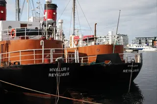 Two whaling ships are docked in the harbour in Reykjavik, Iceland, in August 2019. Photo: dpa