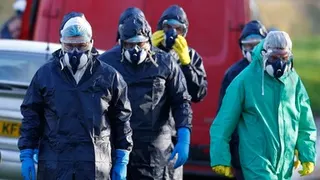 Australia reports first case of deadly case of H5 bird flu variant