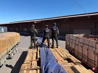 巴西执法人员在科伦巴检查藏有疑似可卡因的木材货物。当局说，若检测结果获得确认，这将是巴西破获历来最大宗可卡因走私案。 （路透社）