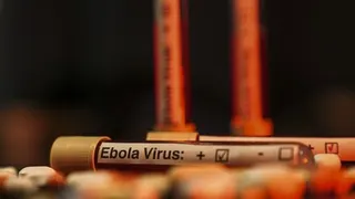 Japan pledges $3.5M to fight Ebola outbreak in DR Congo, Uganda