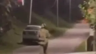 （图取自网络）