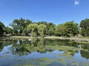 疑失智落水 法拉盛公園池塘浮屍證實為73歲華婦