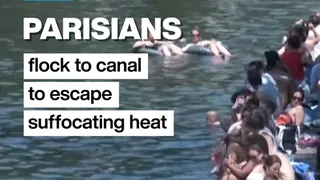 Vignette Canal
