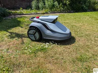 Image may contain: Grass, Lawn, Plant, Device, Lawn Mower, Tool, Machine, and Wheel