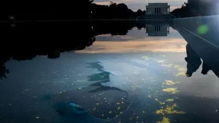 Chipped paint and algae are visible in the Lincoln Memorial Reflecting Pool at dusk.