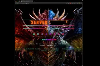 A screengrab of the ministry’s website.