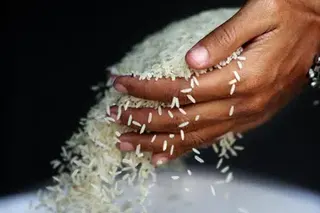 Rice remains the centrepiece and a volatile variable of the Philippine-Vietnam relationship, as Manila relies heavily on Hanoi to ensure its national food security.