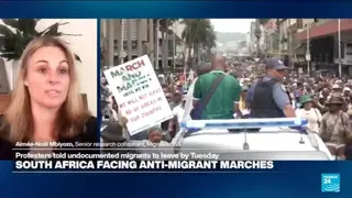 'Politically expedient around the world': Immigrants in South Africa face wrath of xenophobia