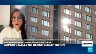 'Architecture, city design a front line of defence' against heatwaves, expert says