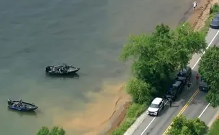 Boats in a lake with a road running alongside it with cars on it.