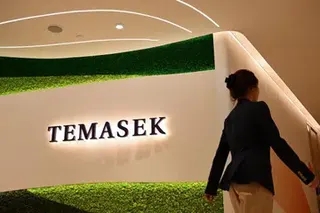 Temasek’s one-year total shareholder return of 10.5% should not be judged against the 29.2% total return of the Straits Times Index over the same period, the writer argues.