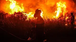 Indonesian firefighters, from Indonesian Disaster Management, try to extinguish a wildfire on September 14, 2023. Forest and land fires engulfed many parts of the country due to the El Nino-induced dry season.