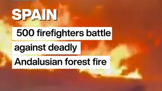 Vignette wildfire