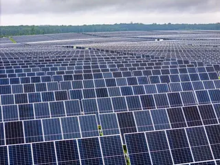 維吉尼亞州一處太陽能電廠。（歐新社）