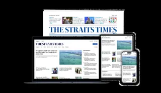Subscribe Placeholder