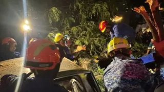 新加坡驻吉隆坡最高专员公署附近大树倒塌 一死七伤
