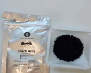 A plastic tray of dried ants next to a vacuum-packed pouch labelled 'Black Ants'