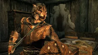 A khajiit in Skyrim.