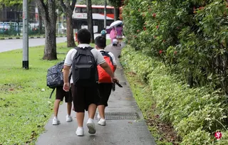 根据教育部网站星期四（7月23日）更新的数据，今年在2B阶段，学额竞争较激烈的包括南洋小学、爱同学校、培华长老会小学、圣婴小学、光华学校、南华小学和圣尼各拉女校（小学）等。 （档案照片）