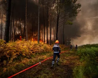 A firefighter runs next to a long hose at the edge of a group of trees as dark smoke billows upwards and fills the sky